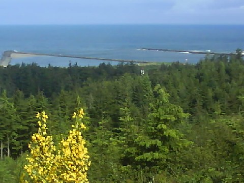 006 Oregon Coast 11th Jun 2010.jpg